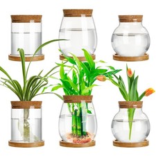 Beeveer 6 Pcs Plants Propagation Station Separated Desktop Plant Terrarium wi...