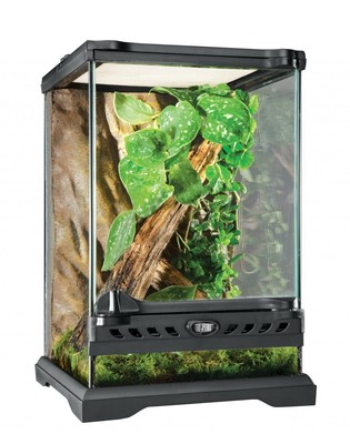 Exo Terra Glass Nano Terrarium Kit for 8 x 8 x 12 Inches, Black;Clear 