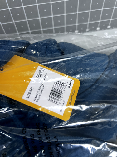 Carhartt Women's Relaxed Fit Long Sleeve Graphic Hoodie TEAL Large (12-14) NEW~~ - Picture 10 of 10