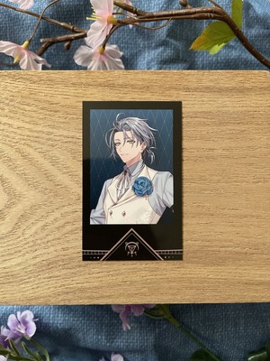 Hex Haywire  Unsigned Photocard | Xsoleil | Nijisanji