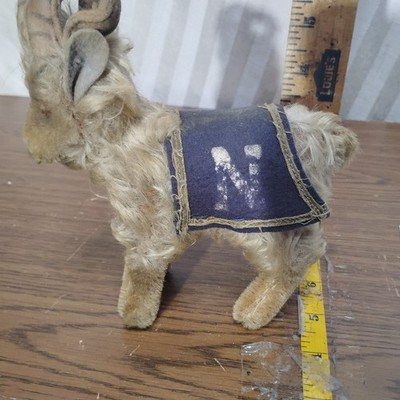Antique Stieff Mascot U.S.  Navy Academy Billy The Goat Football B25