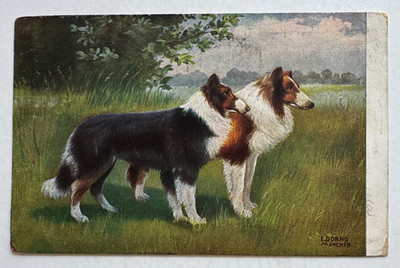 Vintage 1909 Dog Postcard Two Dogs Portrait Landscape artist E Dorno Germany