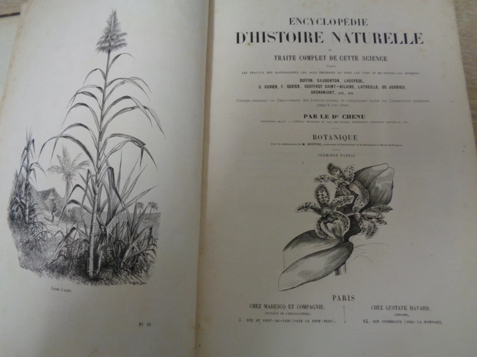 Encyclopédie  d'histoire naturelle ou traité complet botanique  Dr Chenu - Photo 2/4