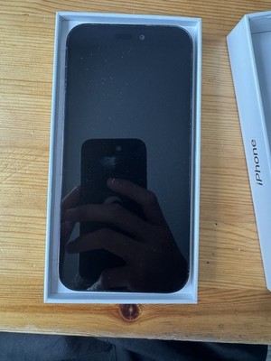 iPhone 14 pro max 256 GB 100%