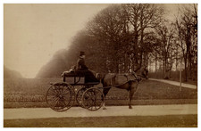 Cocher et voiture à cheval, Tirage vintage, ca.1880 Cocher et voiture à cheval, 