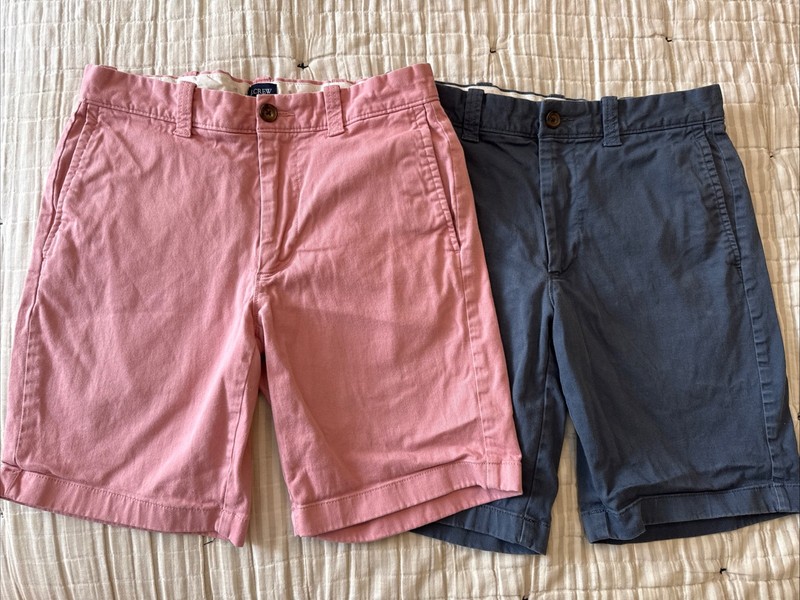 Men J Crew Chino Shorts, Size 28, 9” Inseam Blue Pink