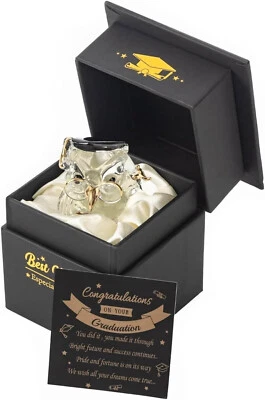 LENAK Graduation Gift Crystal Owl in Graduation Keepsake Ornaments Present