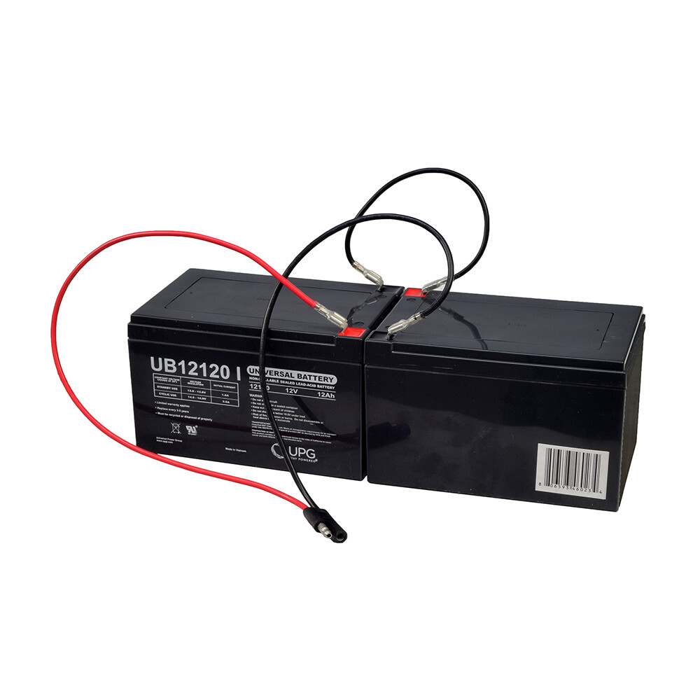 Premium 24 Volt 12 Ah Battery Pack for Currie Mongoose, eZip