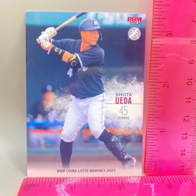 【期間限定値下げ】LOTTE BASEBALL CARD 9枚　写真１枚 最終値下げ 『在庫ラスト1セット』MLB 2025 TOPPS SERIES ONE