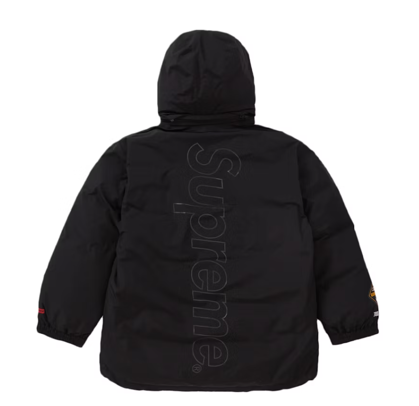 Supreme X Gore-Tex 700-Fill Down Fur Hooded Parka Jacket Big Logo