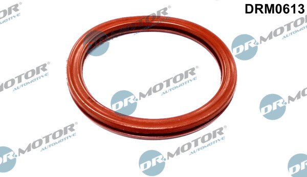 Dr. Motor Automotive DRM0613 Dichtung, Drosselklappe FüR Dacia, Renault-image