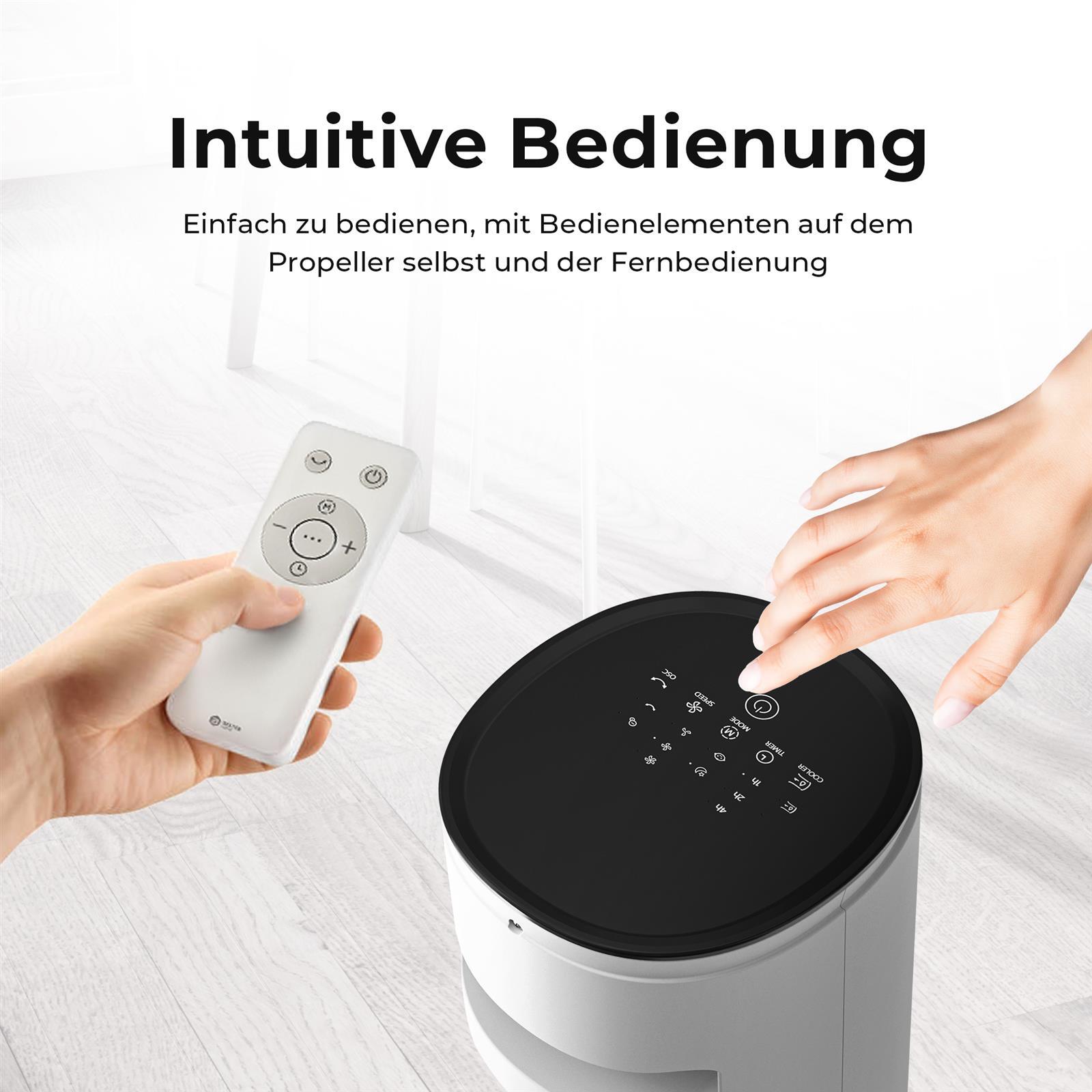 Bild 7 von 8