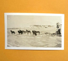 1941 NOME ALASKA DOG SLED 4.5 BY 2.75 VINTAGE PHOTO
