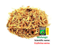Ch� Mulungu -Erythrina mulungu Tea