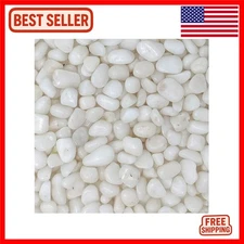 Luxurious Polished White Pebbles - 3/8" Decorative Gravel for Elegant Garden ...