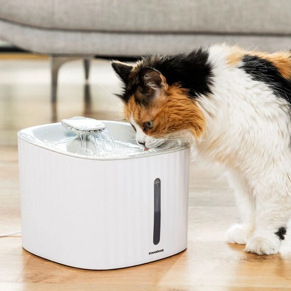 Cheap pet hotsell water fountain