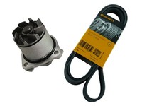 Conti Keilrippenriemen + Wasserpumpe VW VR6 Ford 2.8 2.9 V6 AMY AAA AMV AXK ABV