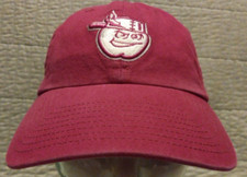 Women's Adj Strapback '47 Pink Fort Wayne Tin Caps MiLB Baseball Hat Cap