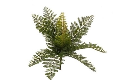 RAZ Imports~13'' Spring/Summer Fern Stray/Pick/Stem~Tree/Wreath/Flower Pot Plant