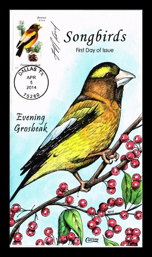 DR JIM STAMPS US COVER SONGBIRDS EVENING GROSBEAK FDC COLLINS HAND PAINTED