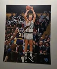 Larry Bird NBA Boston Celtics HOF Signed 8x10 Photo PRO-CERT COA