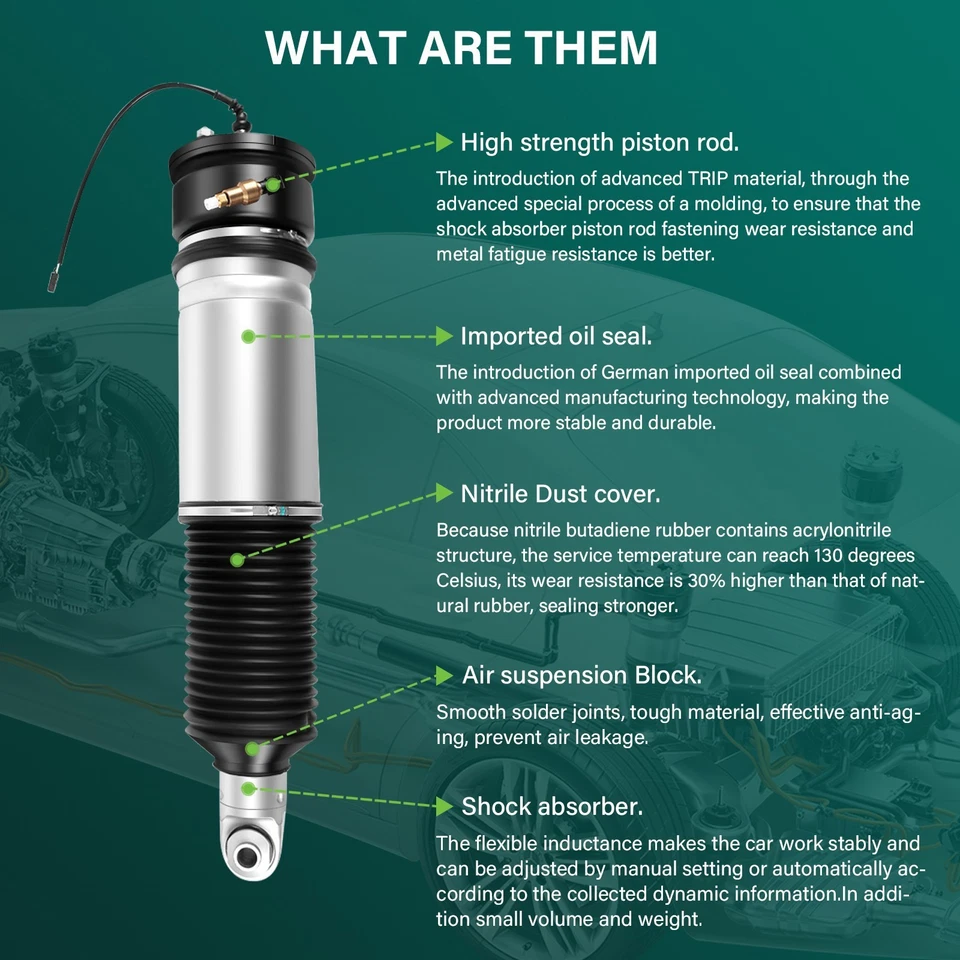 Rear Pair Air Suspension Struts For BMW E65 E66 745i 750i 745Li 750Li 760Li EDC - Image 2 of 4