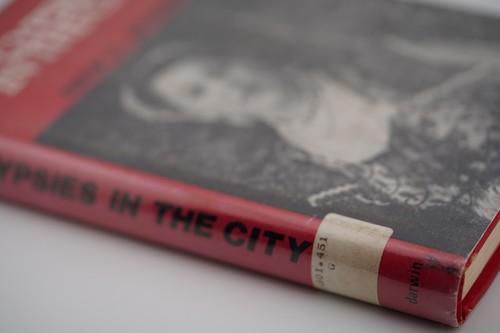 GYPSIES IN THE CITY By Rena Gropper, CULTURE & SURVIVAL, 1975 HCDJ Darwin Press - Imagen 4 de 7