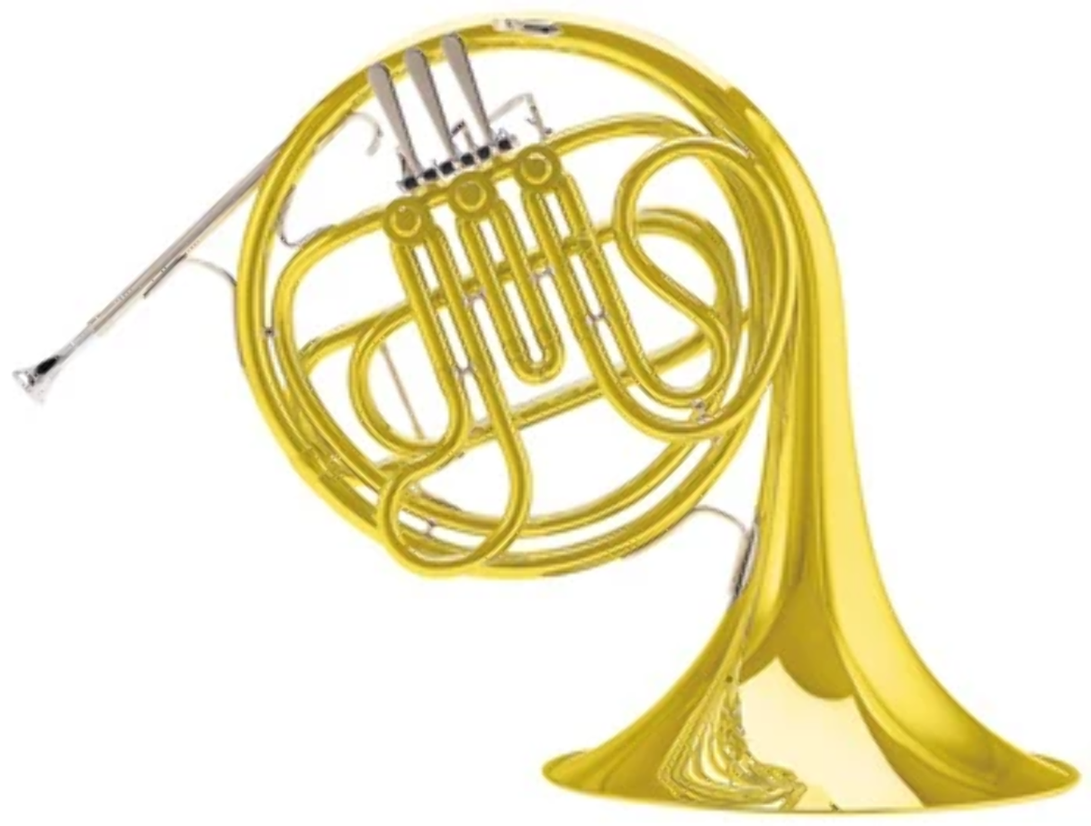 Conn 14D French Horn OPEN BOX | eBay