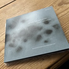 Jan Bang Arve Henriksen After The Wildfire (CD) punkt editions