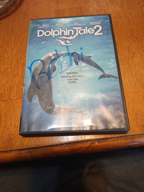 Dolphin Tale 2