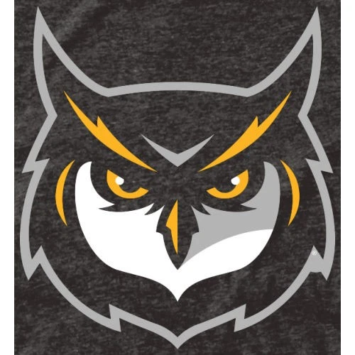 Men's Black Kennesaw State Owls Auxiliary Logo Tri-Blend T-Shirt - Image 2 of 2