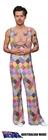 Harry Styles life size cut out standee 183cm x 68cm corflute foldable