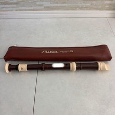 Sopranino Recorder G Model Case