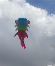 11m Large Soft Fish Kite Outdoor Toy Flying Adult Reel Inflatable Octopus Kite a