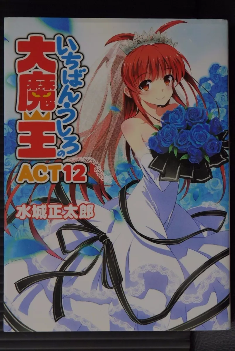 Demon King Daimaou: Volume 8 (Ichiban Ushiro no Daimaou) - Light