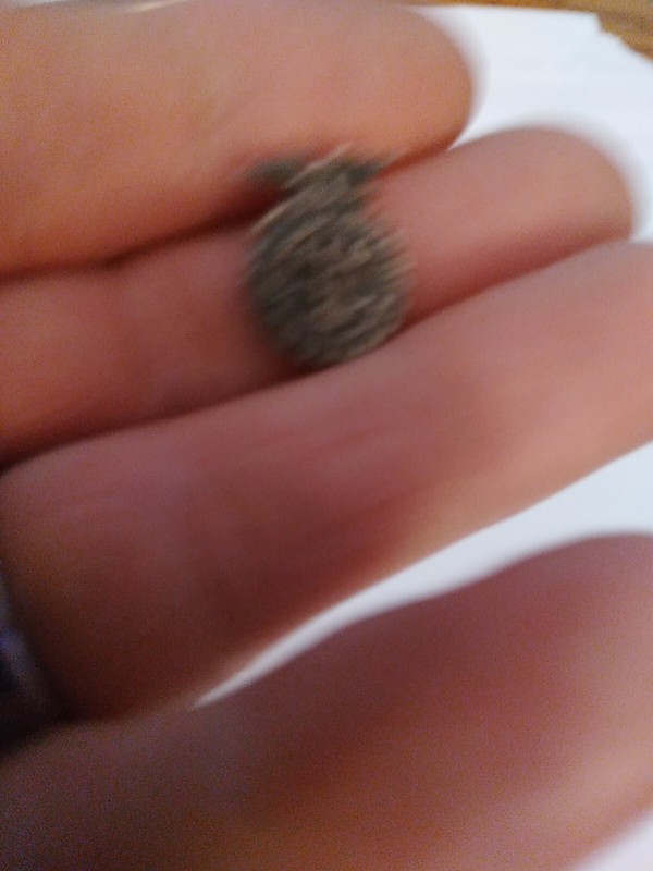 Vintage FFA Vocational Agriculture Lapel  Pin