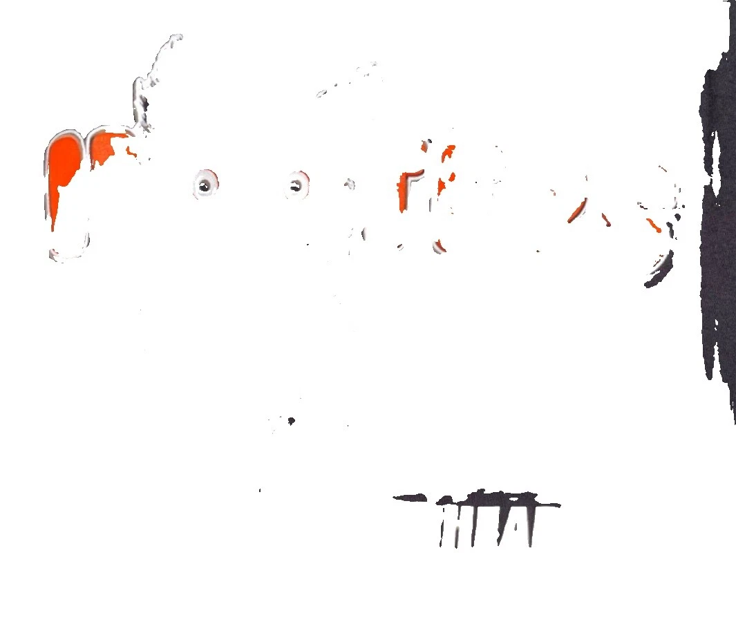 Camisas con capucha para hombre talla 2XL