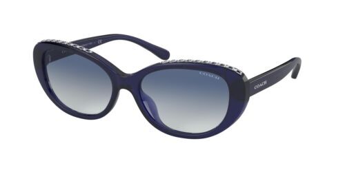 COACH HC8275 L1095 SUNGLASSES TRANSPARENT BLUE JAY/GREY 