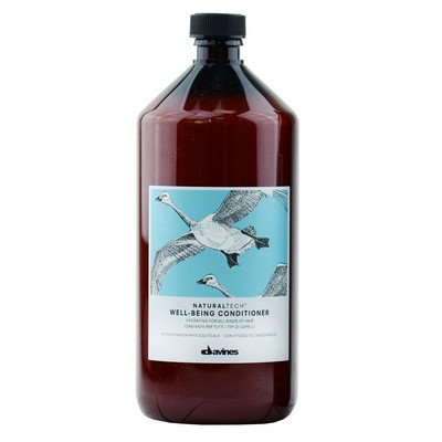 8004608230779 Davines Naturaltech Wellbeing Conditioner odżywka do codziennej pi