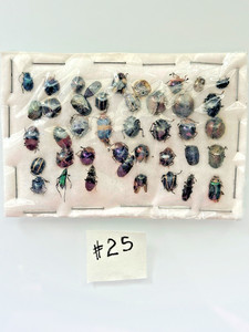 Beetle A1 condition