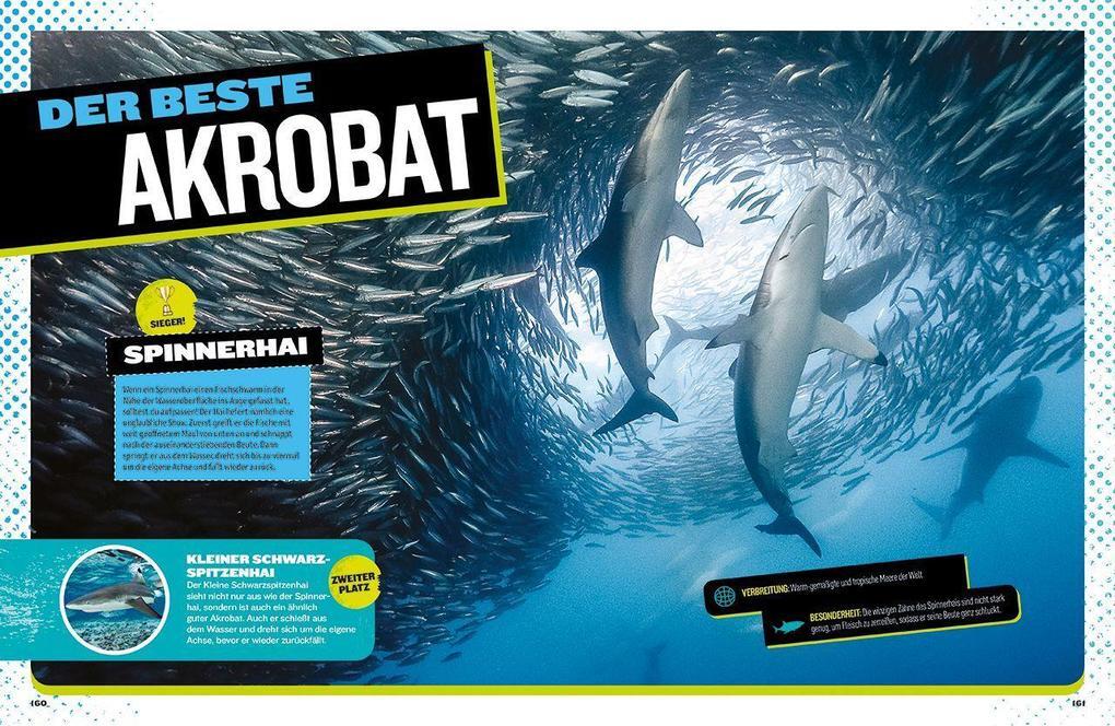 Thumbnail - Das Ultimative Buch Der Haie | Brian Skerry | Deutsch