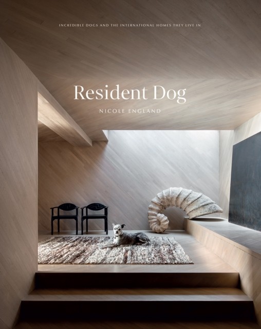 Resident Dog (Volume 2): Incredible Dogs and the International H - Image 4
