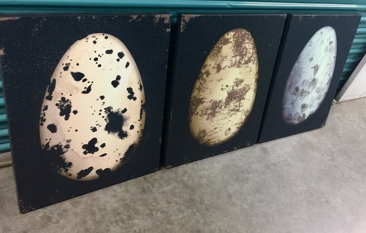 Trio De Toiles Imprimées œuf D'autruche / Dinosaure - Décoration Murale