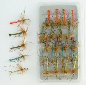 trout