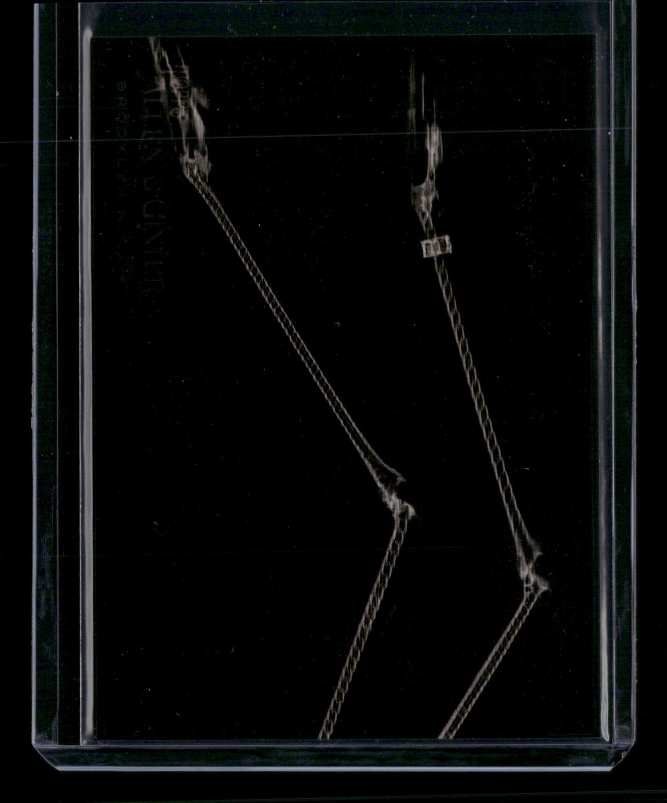 Greater Flamingo Legs #XR-16 Baseball Cards 2024 Topps Allen & Ginter X-Ray’d trading card — raw and PSA graded price guide