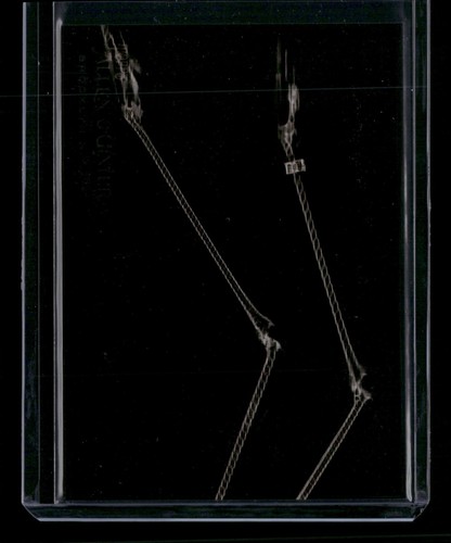 Greater Flamingo Legs #XR-16 2024 Topps Allen & Ginter X-Ray’d card