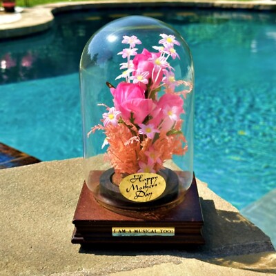 Happy Mothers Day Glass Dome Display Terrarium Music Flowers Butterfly Wood Base