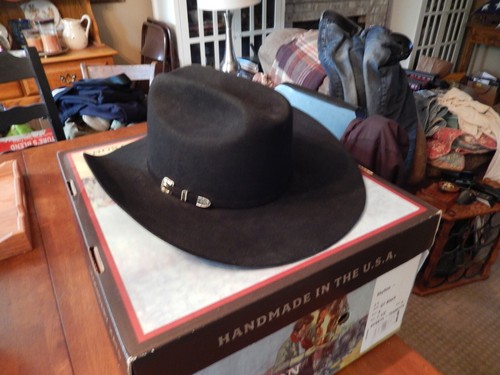 Stetson Men's 6X Skyline Fur Felt 