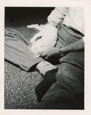 GREAT 1950s vintage photo ABSTRACT man holding SLEEPING BABY PIG pet TRUE LOVE