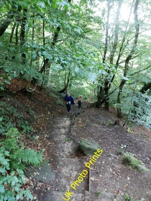 Foto 6x4 Steiler Stufenweg nahe The Wizard's Well Alderley Edge \/SJ8478 c2016